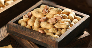 花生的營養價值